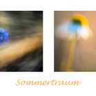 Sommertraum