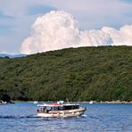 Sommerurlaub 2016 auf Rab - Der Dondowald von Kalifront