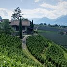 Sommerurlaub 2022 in Südtirol -Blick auf das Etschtal mit dem Ausserleiter Hof bei Schenna