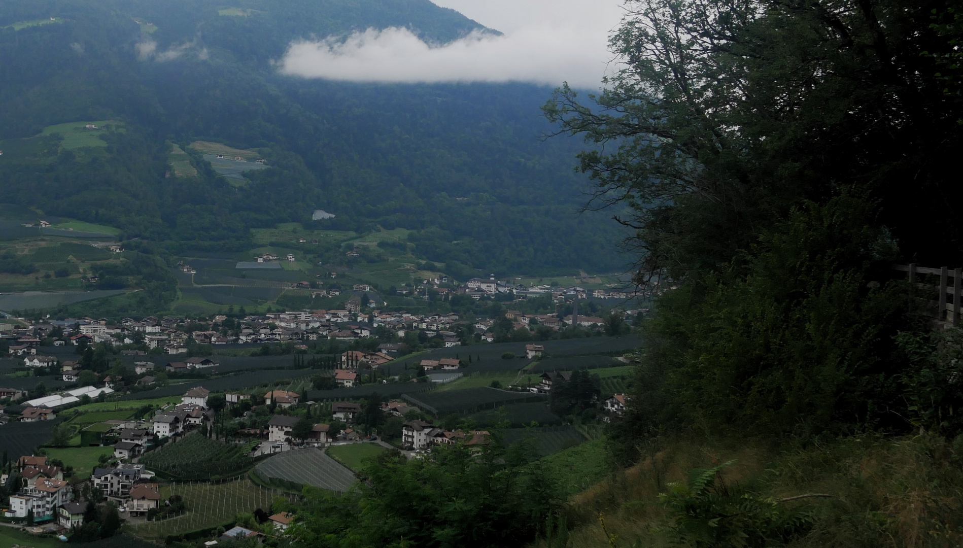 Sommerurlaub 2023 in Südtirol - Algund mit Marlinger Berg