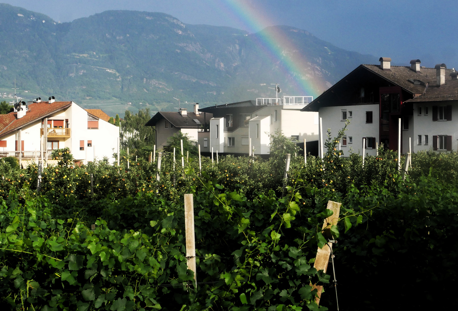 Sommerurlaub 2023 in Südtirol - Haus Leiter im Regenbogen