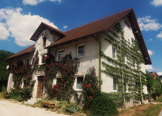 Sommerurlaub 2025 im Altmühltal - Alte ländliche Architektur mit Spalieren in Emsing