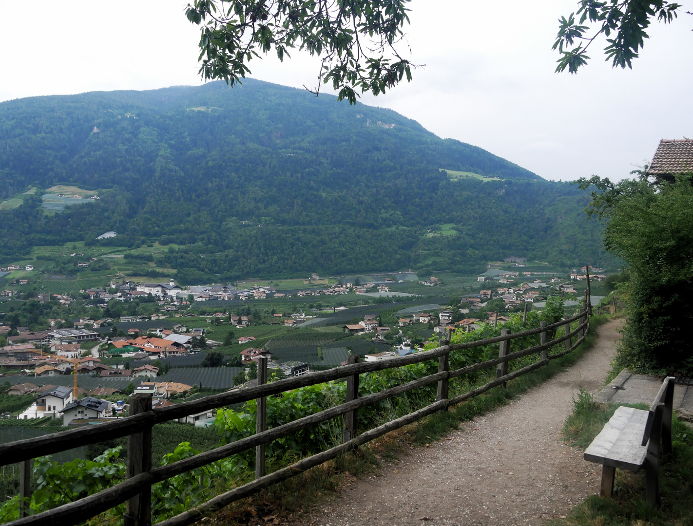 Sommerurlaub in Südtirol 2023  - Algunder Waalweg / Blick auf Algund mit Ortsteil Forst