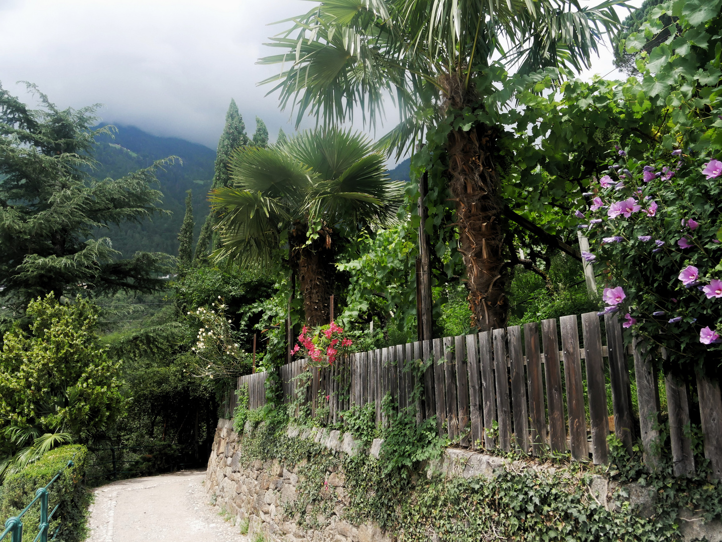Sommerurlaub in Südtirol 2023  - Die Wanderung geht weiter auf dem Tappeiner Weg