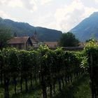 Sommerurlaub in Südtirol 2023 - Gartendorf Algund mit Kloster