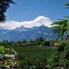 Sommerurlaub in Südtirol - Durchblickvariante auf Obstplantagen des Alto Adige