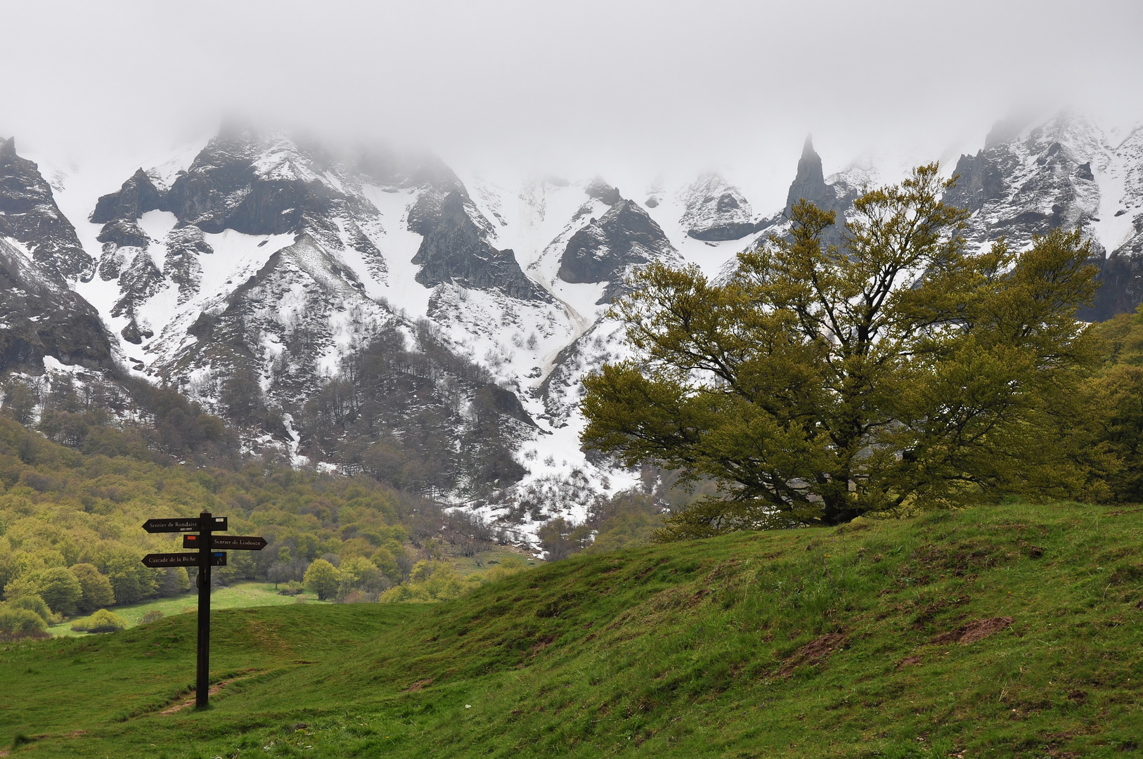 Sommerurlaub mit Schnee