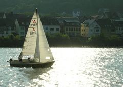 Sommervergnügen auf der Mosel