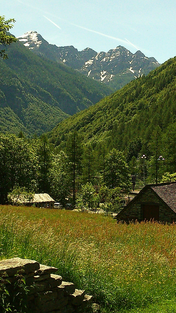 Sommerwärme - zurückgekehrt