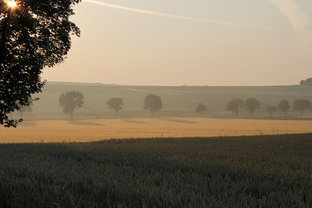 Sommerwanderung