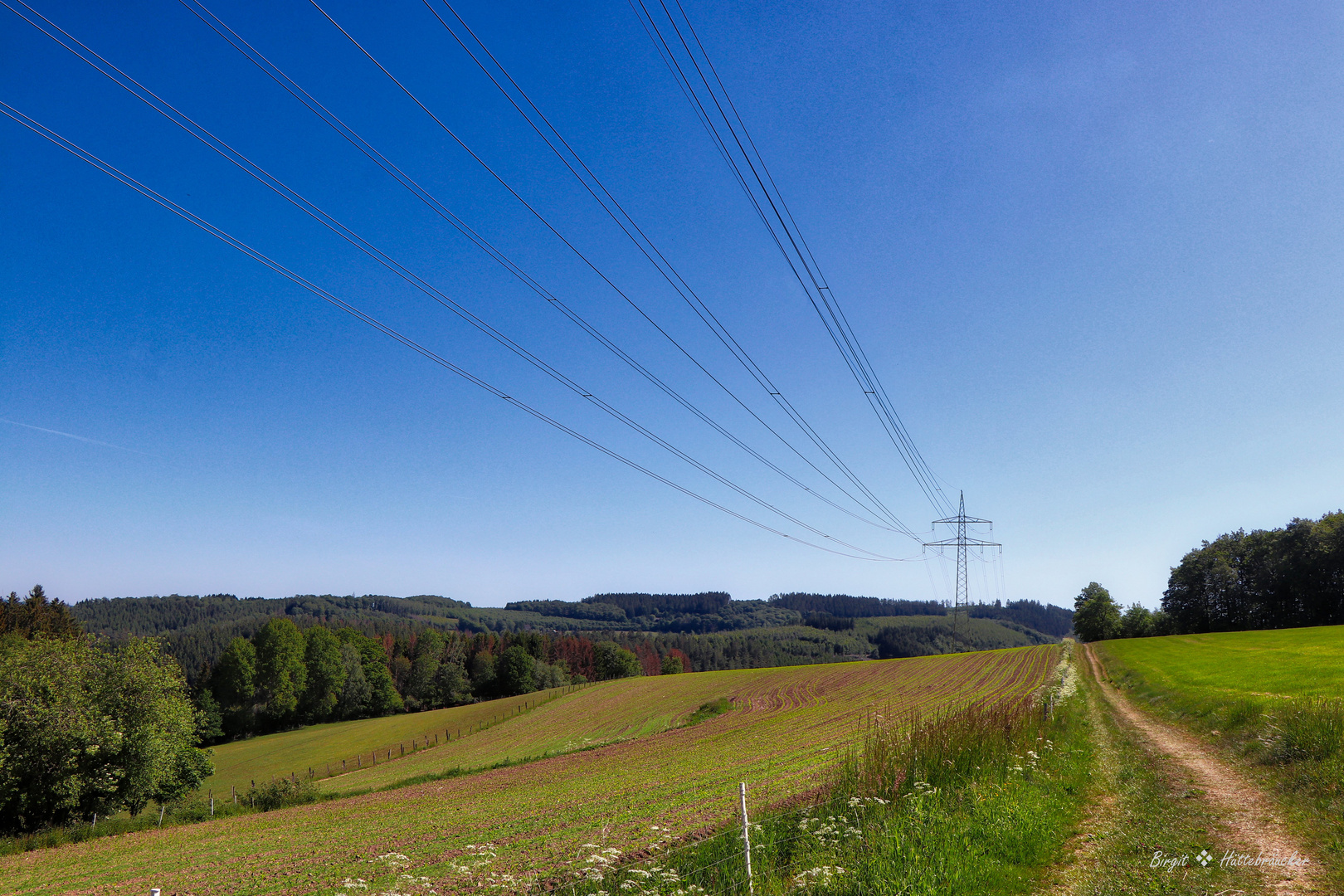 Sommerwanderung