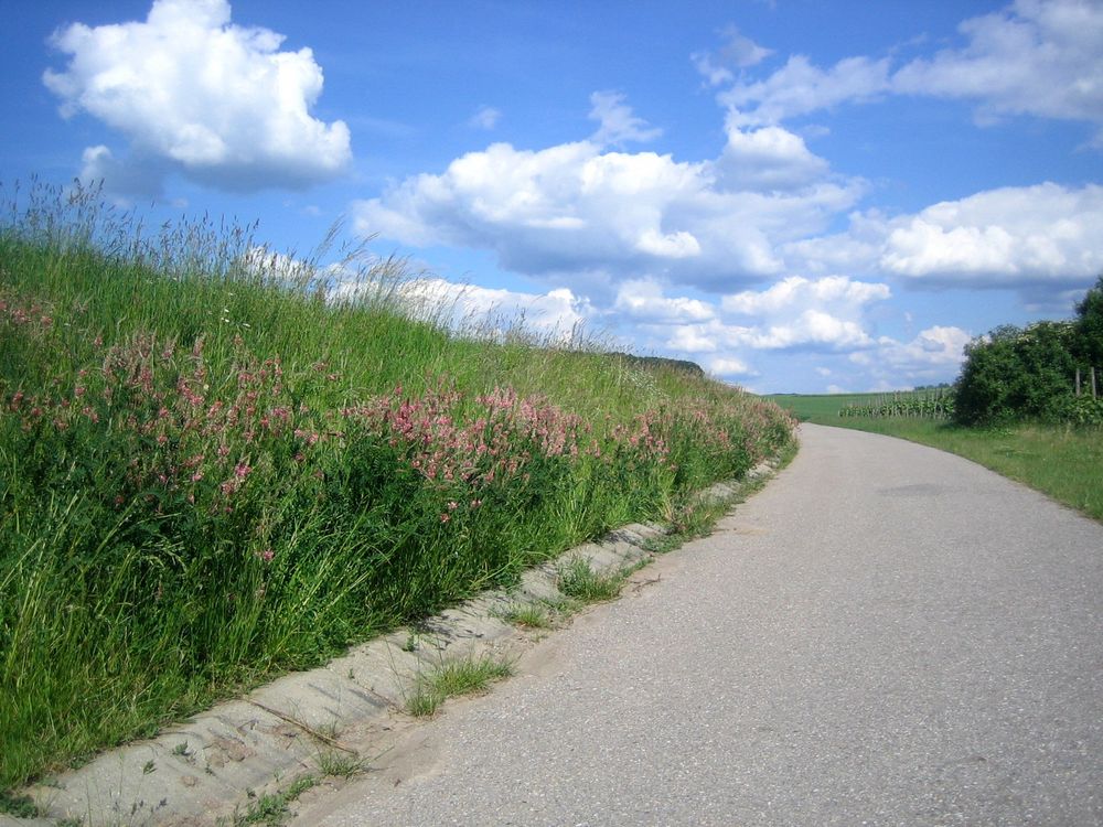 sommerwanderweg von annika-n 