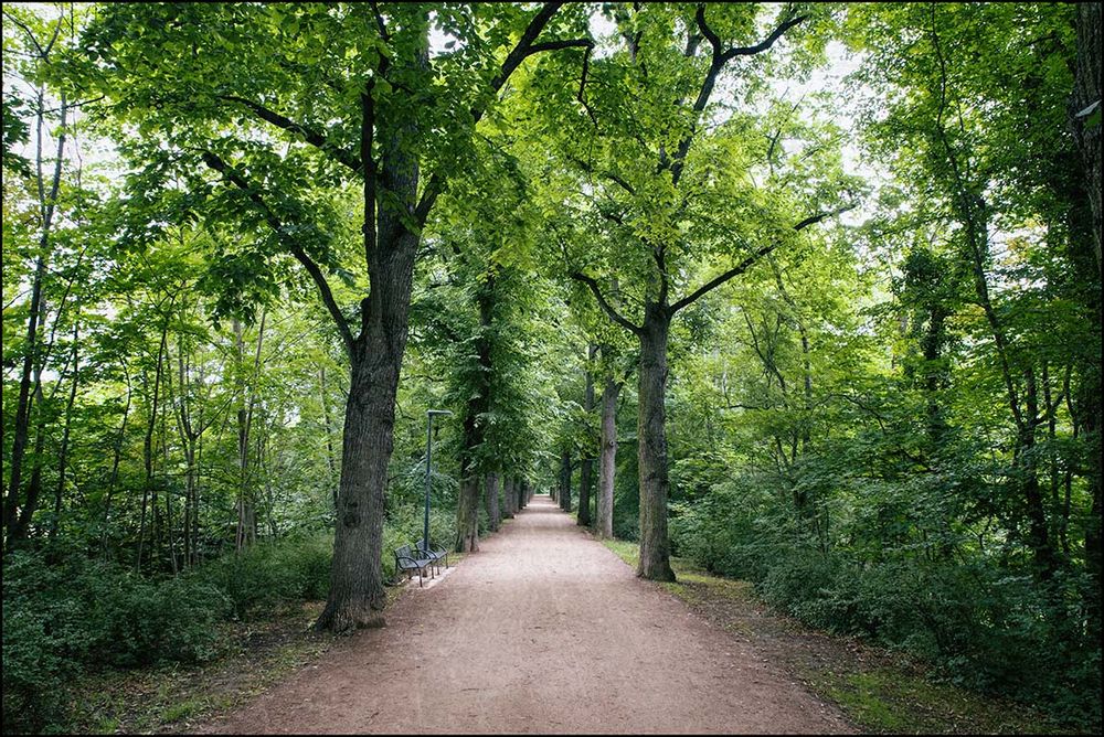 Sommerweg ...