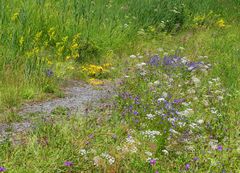 Sommerweg