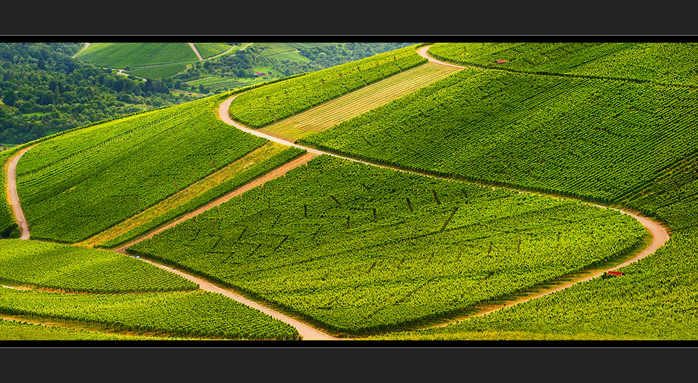 Sommerwein ~ 2008