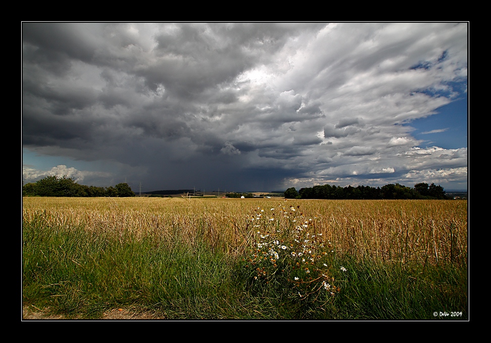 Sommerwetter 2009 *