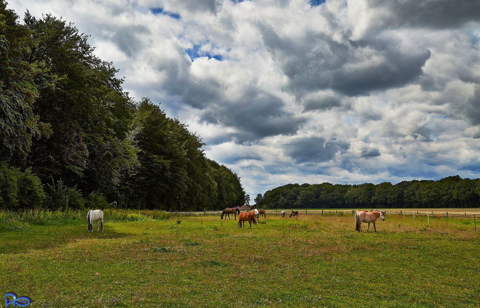 Sommerwetter...