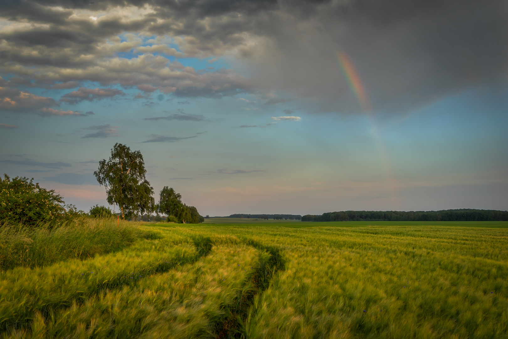 Sommerwetter