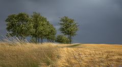 Sommerwetter