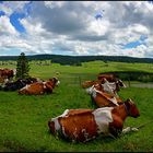 Sommerwetter