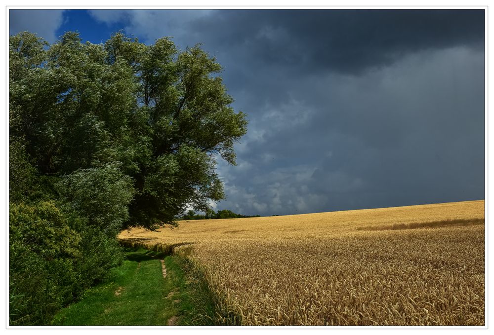 Sommerwetter auf Usedom