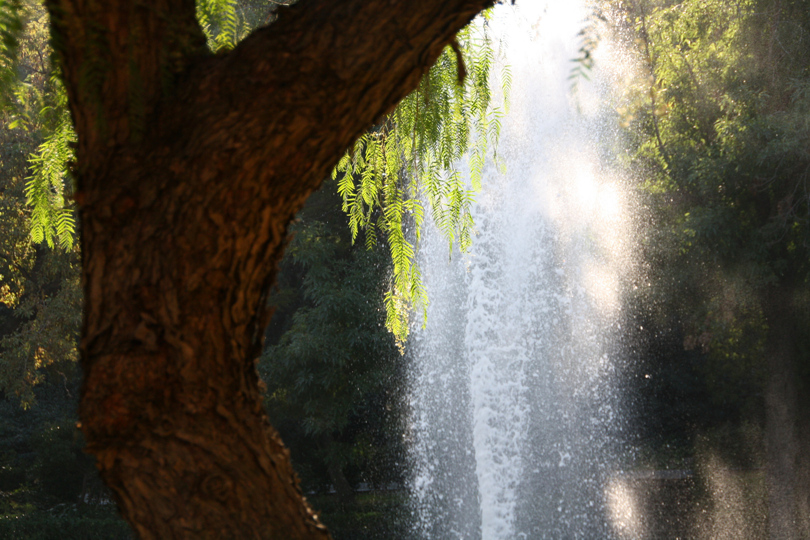 Sommerwetter