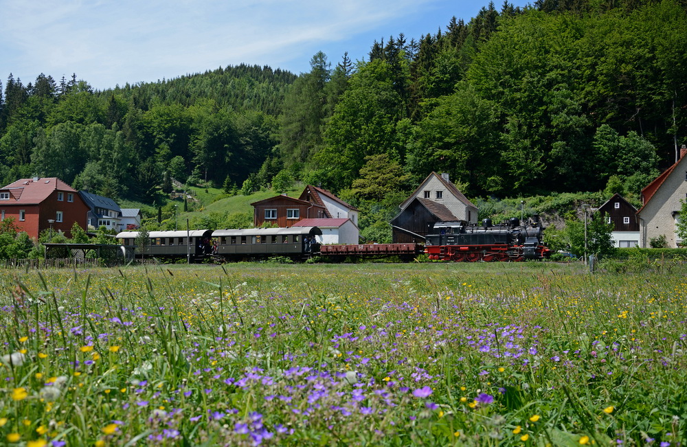 Sommerwiese