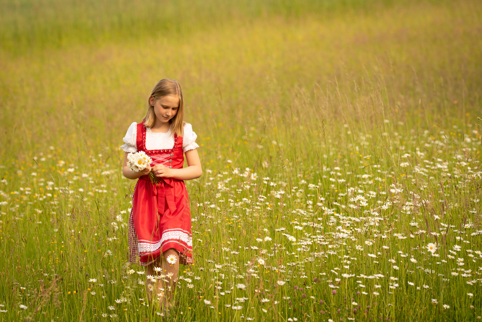 Sommerwiese