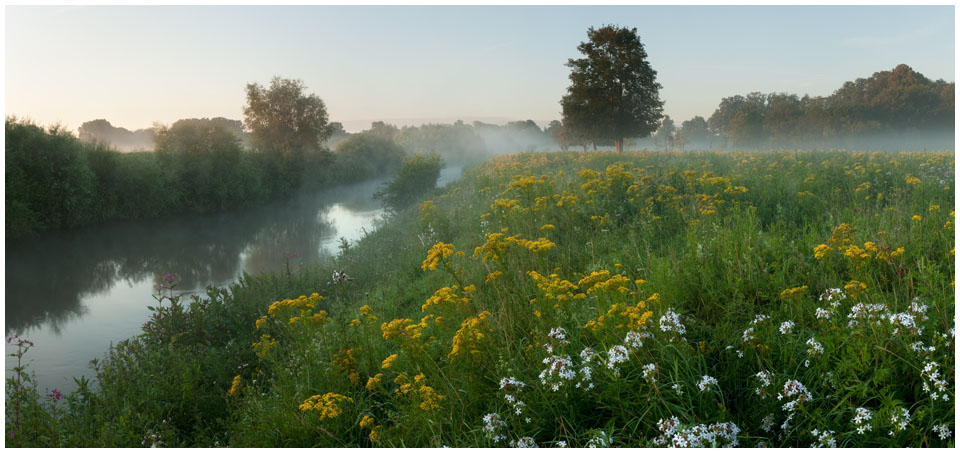 Sommerwiese an der Ems, Münsterland