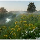 Sommerwiese an der Ems, Münsterland