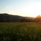 sommerwiese bei sonnenuntergang