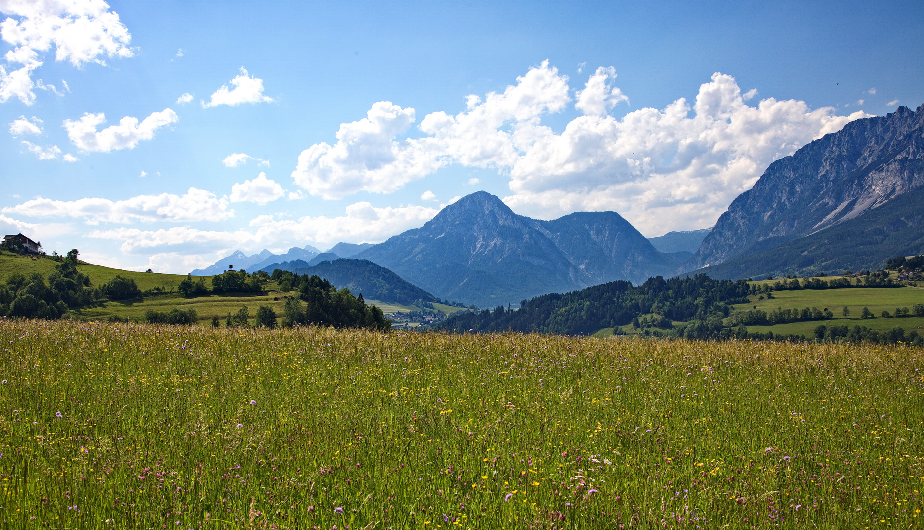 Sommerwiese in den Bergen