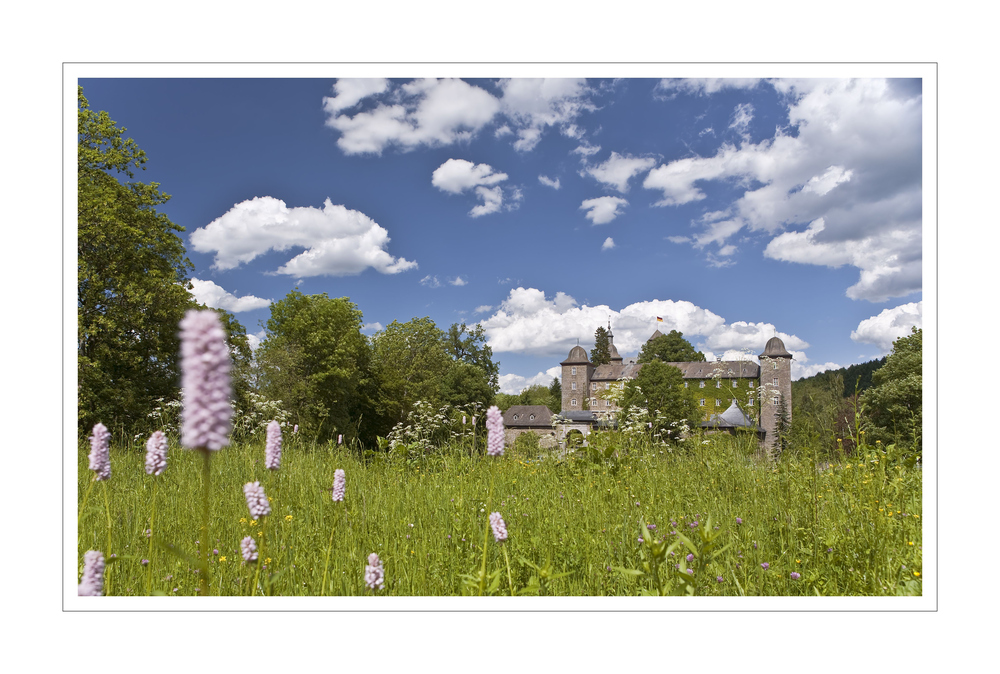 Sommerwiese mit Blick auf Burg Schnellenberg