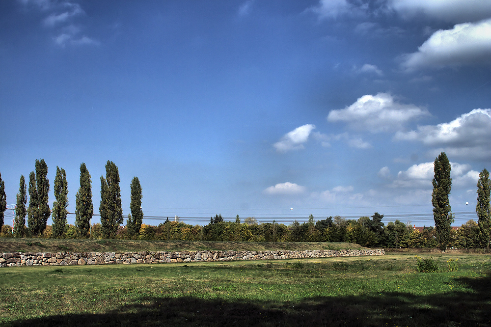 Sommerwiese mit Wall