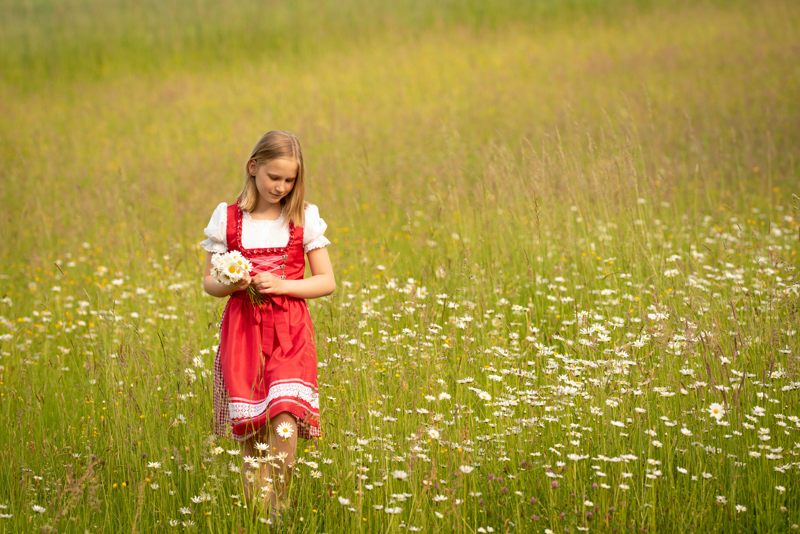 Sommerwiese (neutrale Variante)