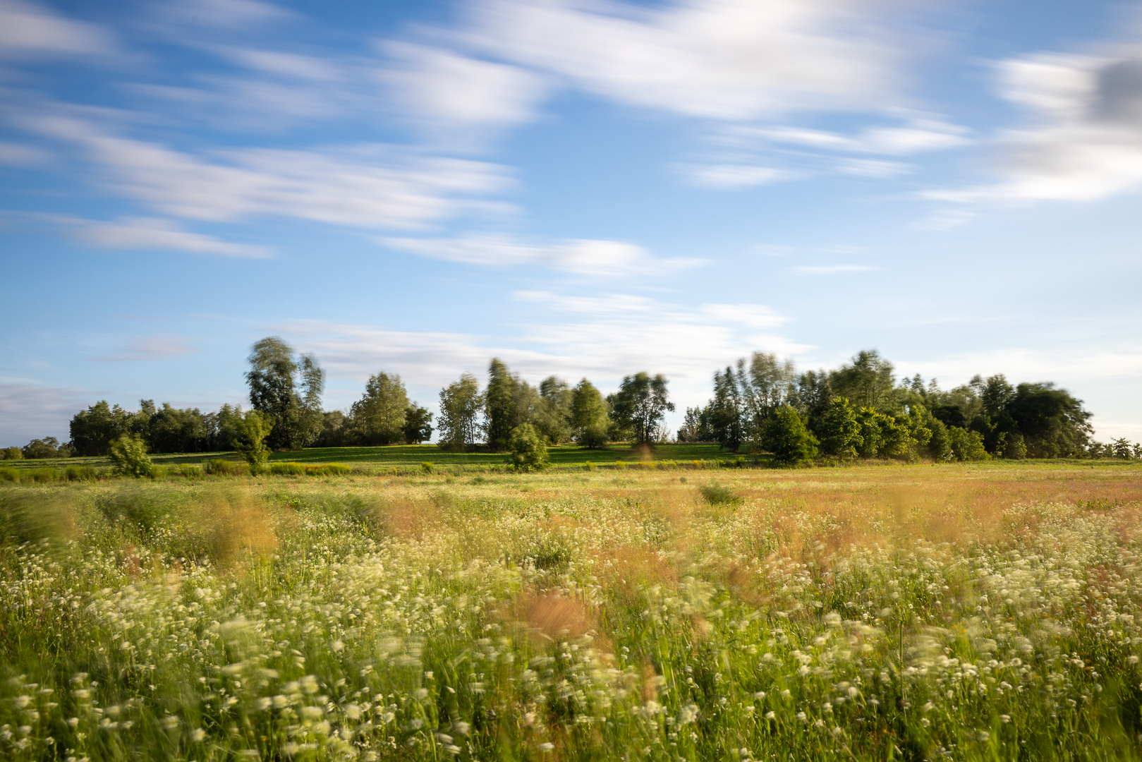 Sommerwind