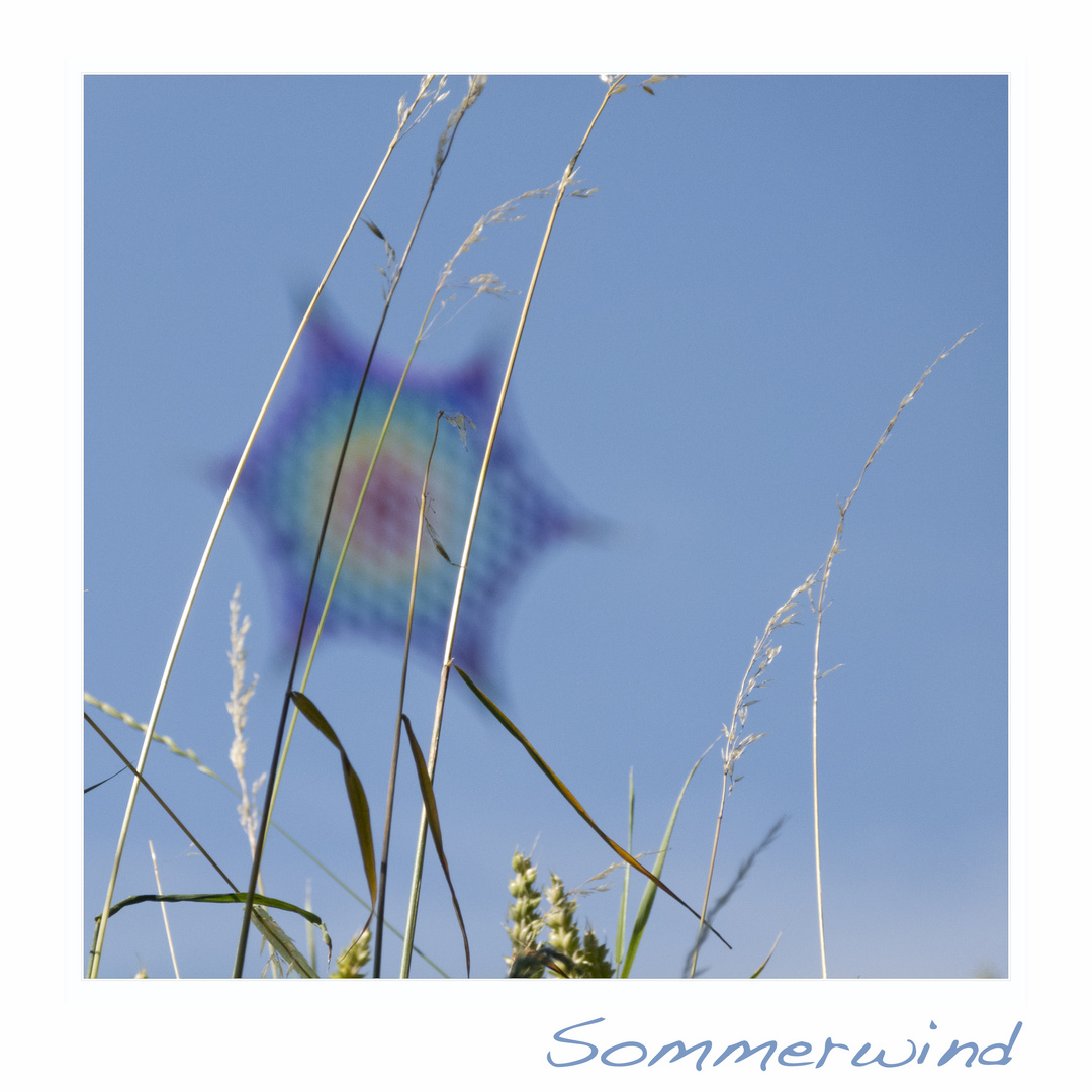 Sommerwind