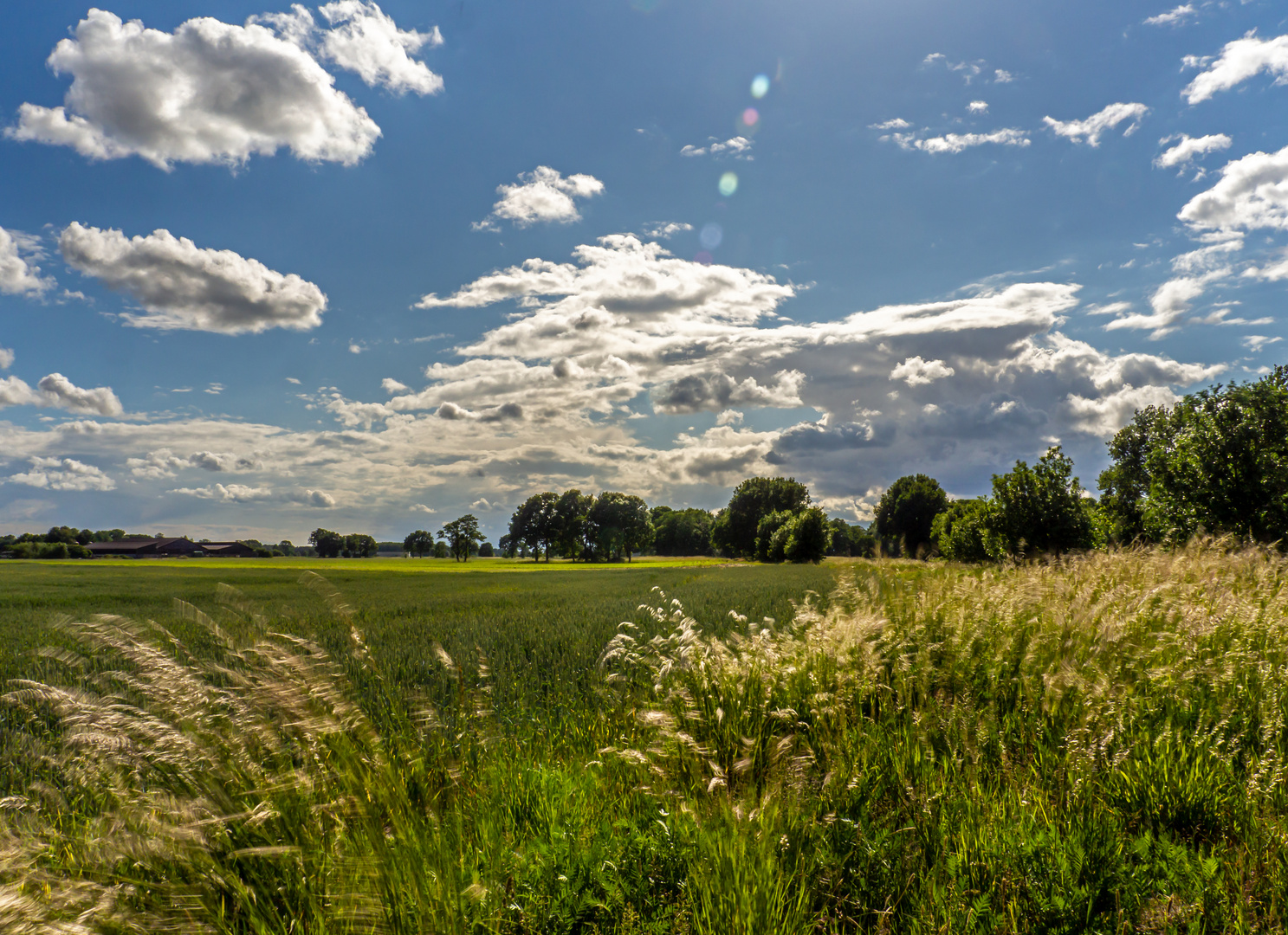 Sommerwind 