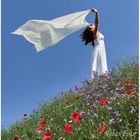 "Sommerwind" - Junge Frau in weißem Sommerkleid mit wehendem Tuch in Wildblumenwiese