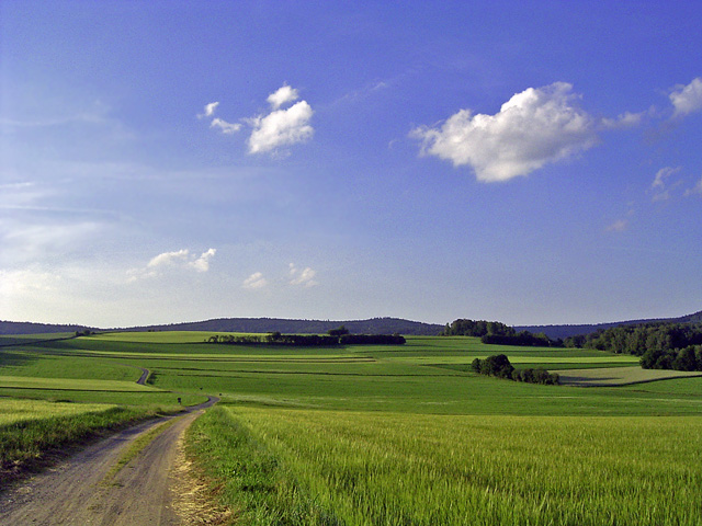 Sommerwogen