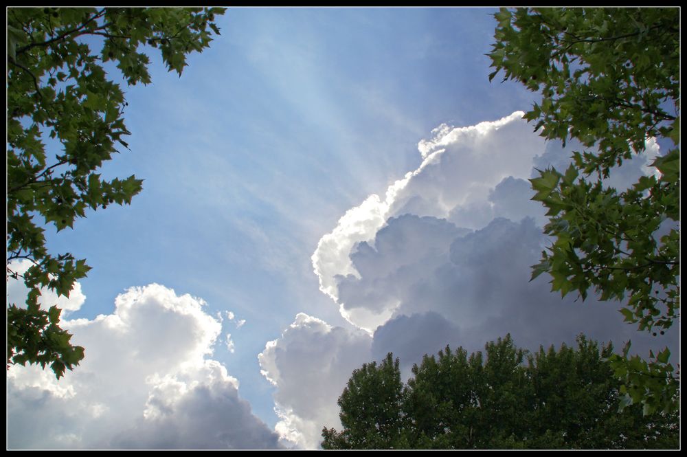 Sommerwolke Foto Bild himmel wolken himmel Sommerwolke Foto Bild himmel wolken himmel