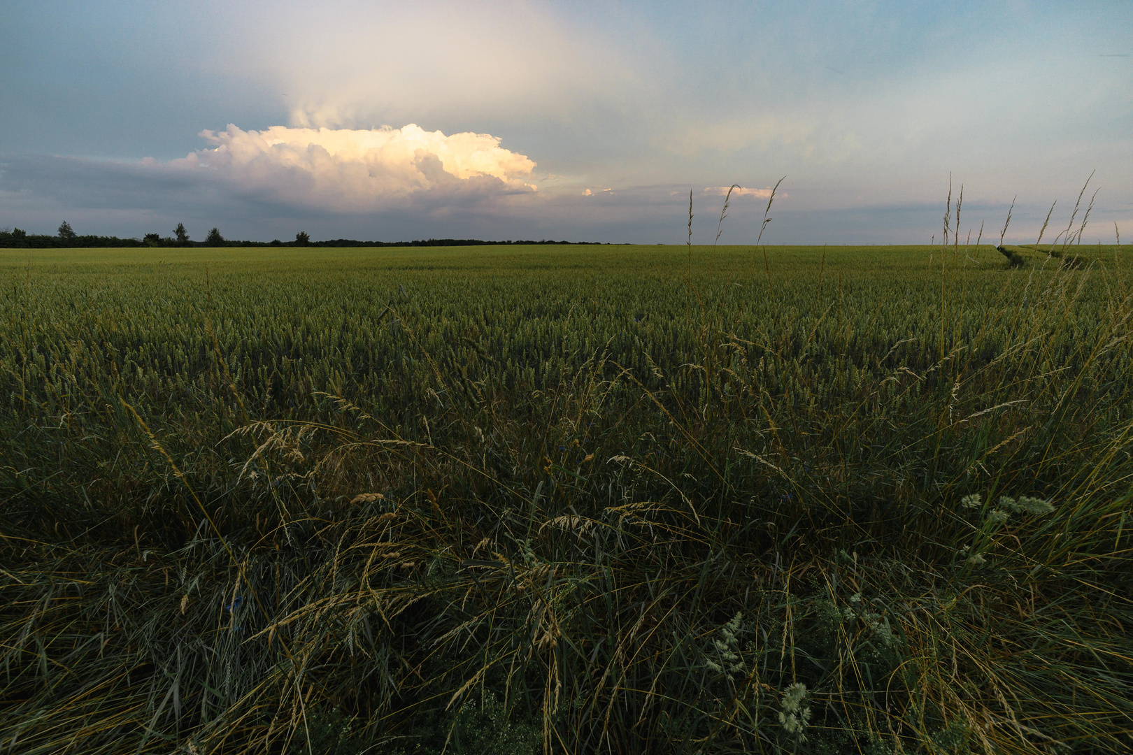 Sommerwolke