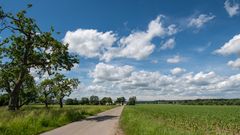 Sommerwolken 