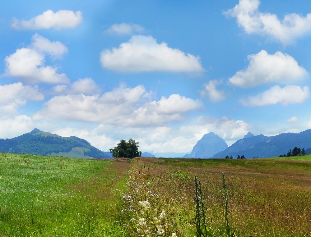 Sommerwolken