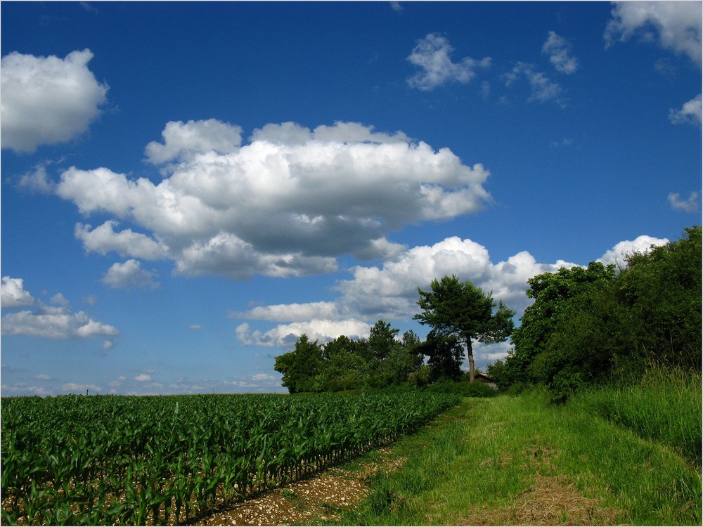 Sommerwolken