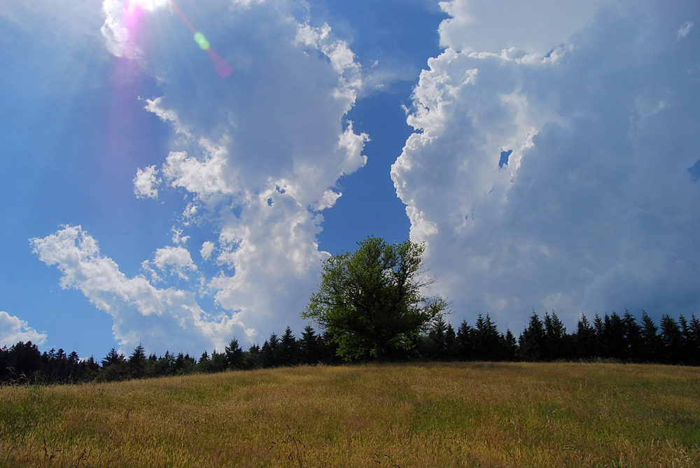 Sommerwolken