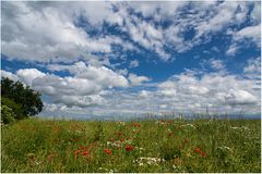 Sommerwolken...