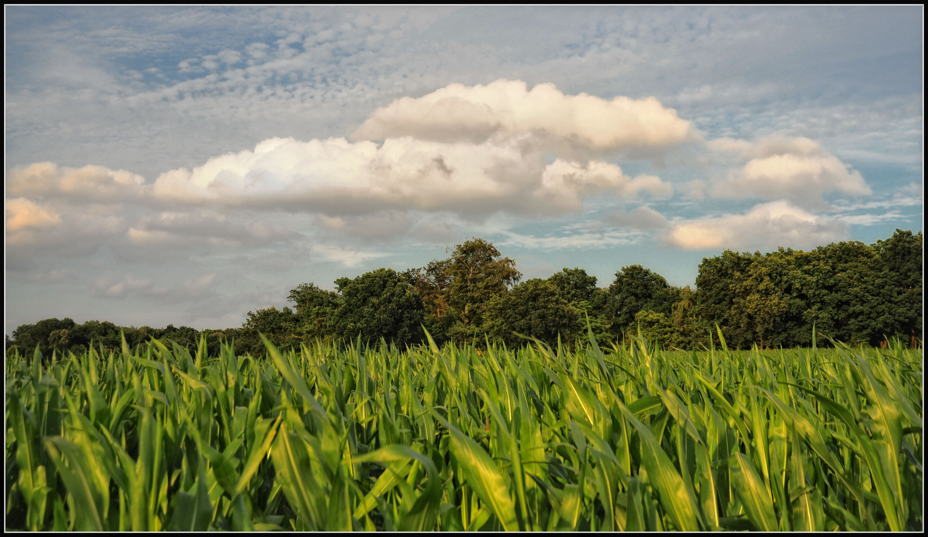 Sommerwolken