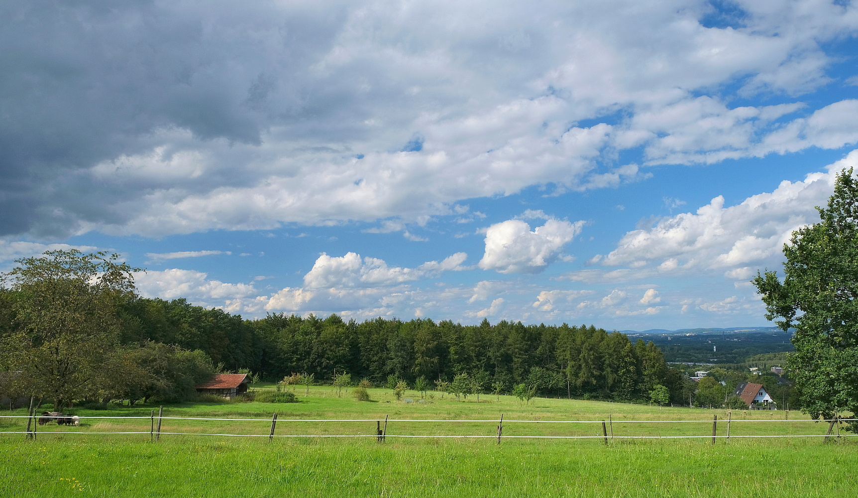 Sommerwolken