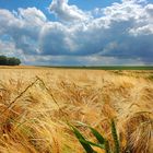 Sommerwolken